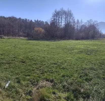 Photo 2 — Plot in Oblast Blagoevgrad, Banya