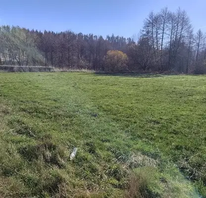 Photo 5 — Plot in Oblast Blagoevgrad, Banya