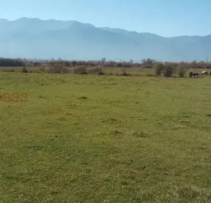 Photo 2 — Plot in Oblast Blagoevgrad, Banya