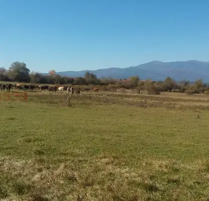 Photo 3 — Plot in Oblast Blagoevgrad, Banya