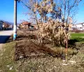 Снимка 2 — Парцел в Благоевград, с. Дамяница