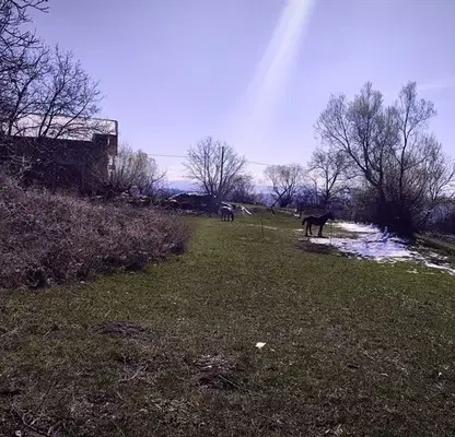 Photo 2 — Plot in Oblast Blagoevgrad, Dobyrsko