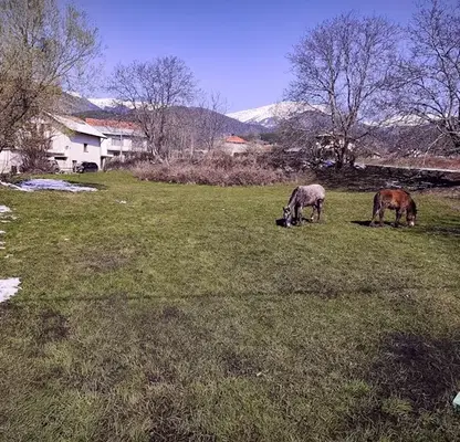 Photo 4 — Plot in Oblast Blagoevgrad, Dobyrsko