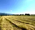 Снимка 2 — Парцел в Благоевград, с. Добърско