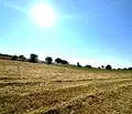 Снимка 4 — Парцел в Благоевград, с. Добърско