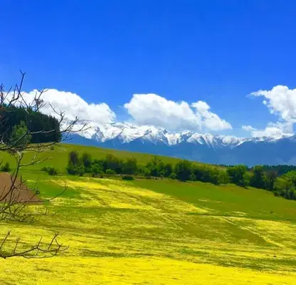 Photo 5 — Plot in Oblast Blagoevgrad, Dobyrsko