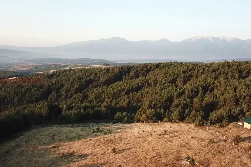 Plot in Oblast Blagoevgrad, Dobyrsko