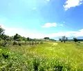 Снимка 3 — Парцел в Благоевград, с. Добърско