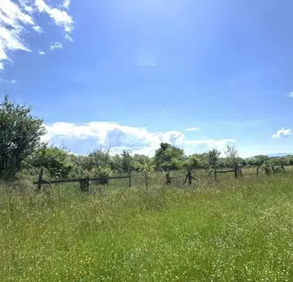 Снимка 4 — Парцел в Благоевград, с. Добърско