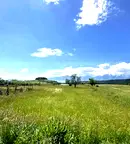 Парцел в Благоевград, с. Добърско