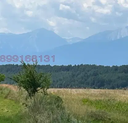 Photo 4 — Plot in Oblast Blagoevgrad, Dobyrsko