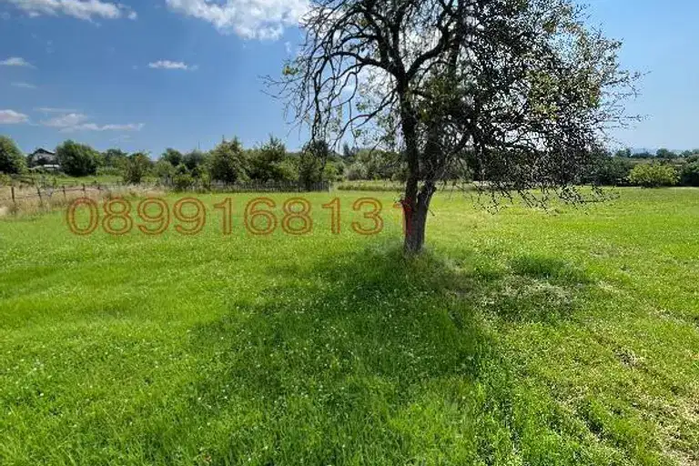 Plot in Oblast Blagoevgrad, Dobyrsko