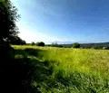 Снимка 5 — Парцел в Благоевград, с. Добърско