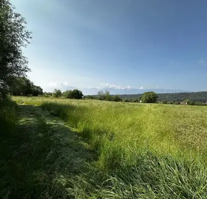 Photo 5 — Plot in Oblast Blagoevgrad, Dobyrsko