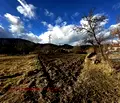 Снимка 3 — Парцел в Благоевград, с. Добърско