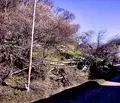 Снимка 3 — Парцел в Благоевград, с. Добърско