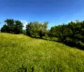 Снимка 3 — Парцел в Благоевград, с. Добърско