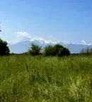 Парцел в Благоевград, с. Добърско