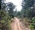 Снимка 3 — Парцел в Благоевград, с. Долно Драглище