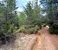 Снимка 4 — Парцел в Благоевград, с. Долно Драглище