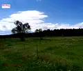 Снимка 4 — Парцел в Благоевград, с. Долно Драглище