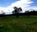 Снимка 5 — Парцел в Благоевград, с. Долно Драглище