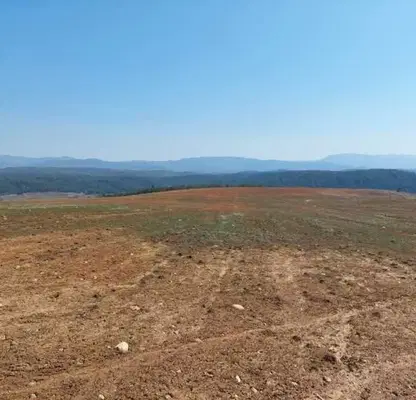 Photo 2 — Plot in Oblast Blagoevgrad, Dolno Draglishte