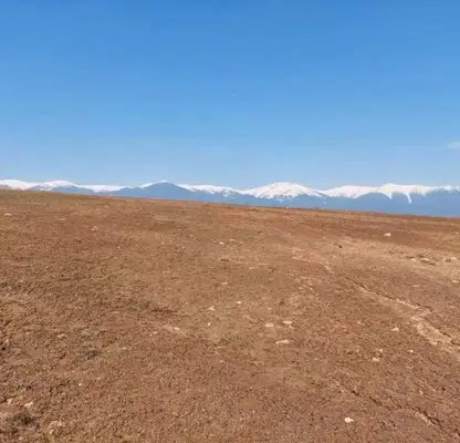 Photo 3 — Plot in Oblast Blagoevgrad, Dolno Draglishte