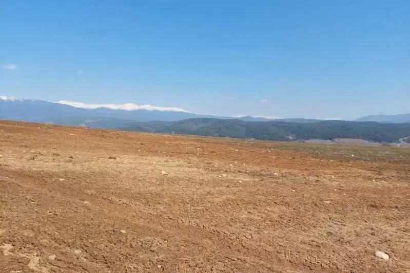 Plot in Oblast Blagoevgrad, Dolno Draglishte