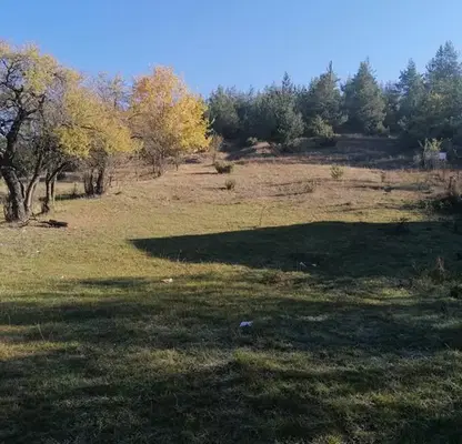 Photo 2 — Plot in Oblast Blagoevgrad, Dolno Draglishte