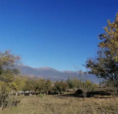 Photo 3 — Plot in Oblast Blagoevgrad, Dolno Draglishte