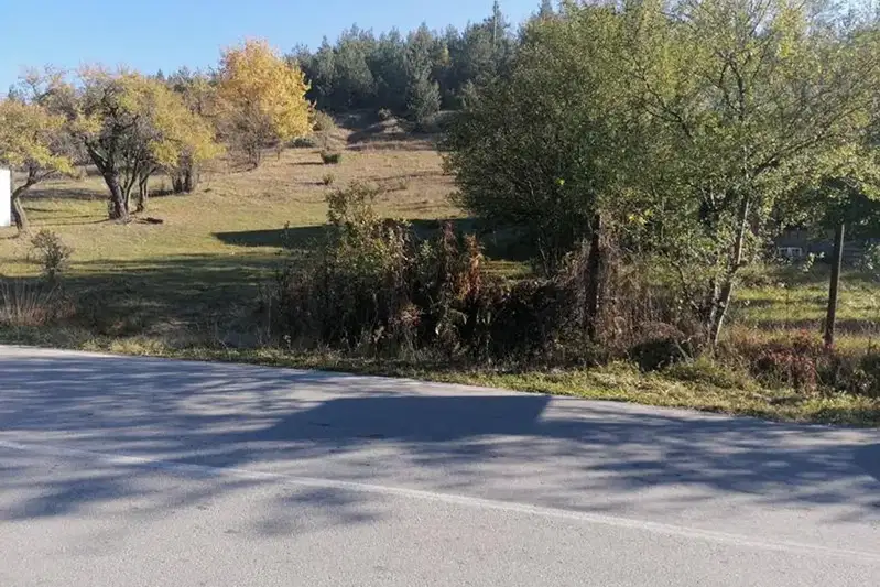 Plot in Oblast Blagoevgrad, Dolno Draglishte