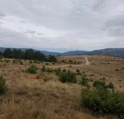 Photo 3 — Plot in Oblast Blagoevgrad, Eleshnica