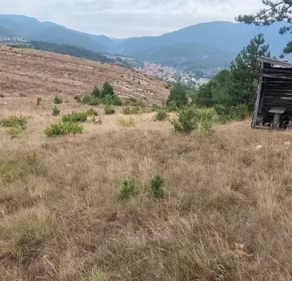 Photo 4 — Plot in Oblast Blagoevgrad, Eleshnica