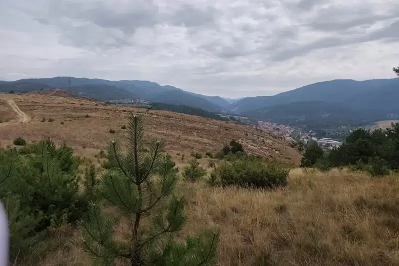 Plot in Oblast Blagoevgrad, Eleshnica