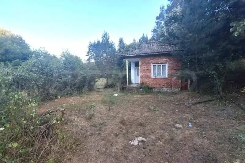 Plot in Oblast Blagoevgrad, Eleshnica