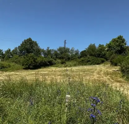 Photo 5 — Plot in Oblast Blagoevgrad, Godlevo