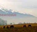 Снимка 3 — Парцел в Благоевград, с. Годлево