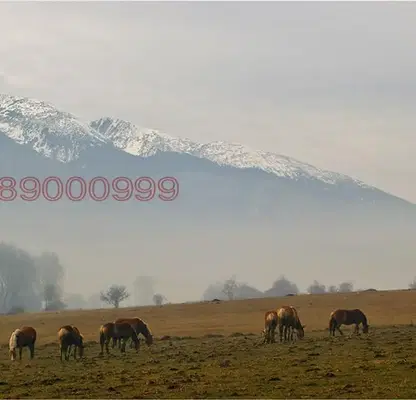 Photo 2 — Plot in Blagoevgrad, Godlevo