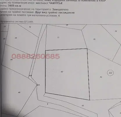 Photo 3 — Plot in Oblast Blagoevgrad, Klyuch