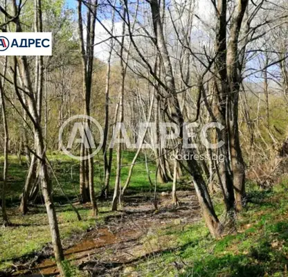 Photo 2 — Plot in Oblast Blagoevgrad, Lilyanovo