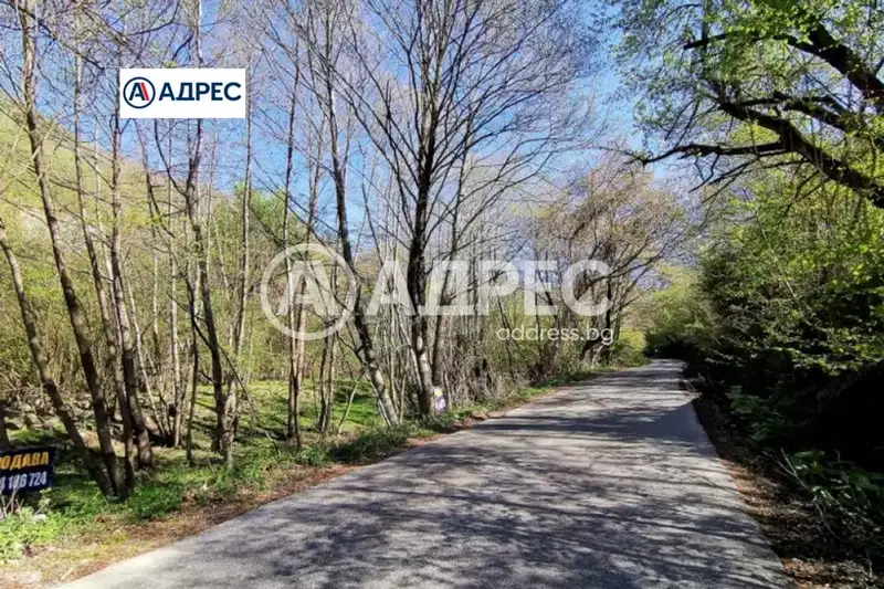 Plot in Oblast Blagoevgrad, Lilyanovo