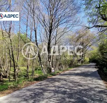 Снимка 2 — Парцел в Благоевград, с. Лиляново