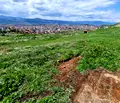 Снимка 4 — Парцел в Благоевград, с. Поленица