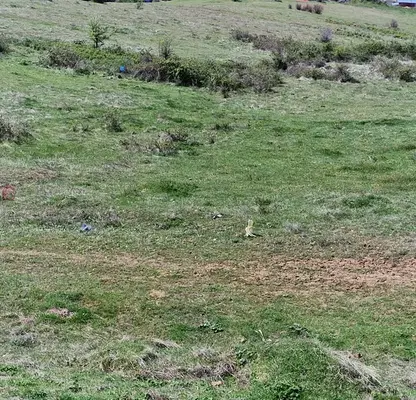 Photo 5 — Plot in Oblast Blagoevgrad, Polenica