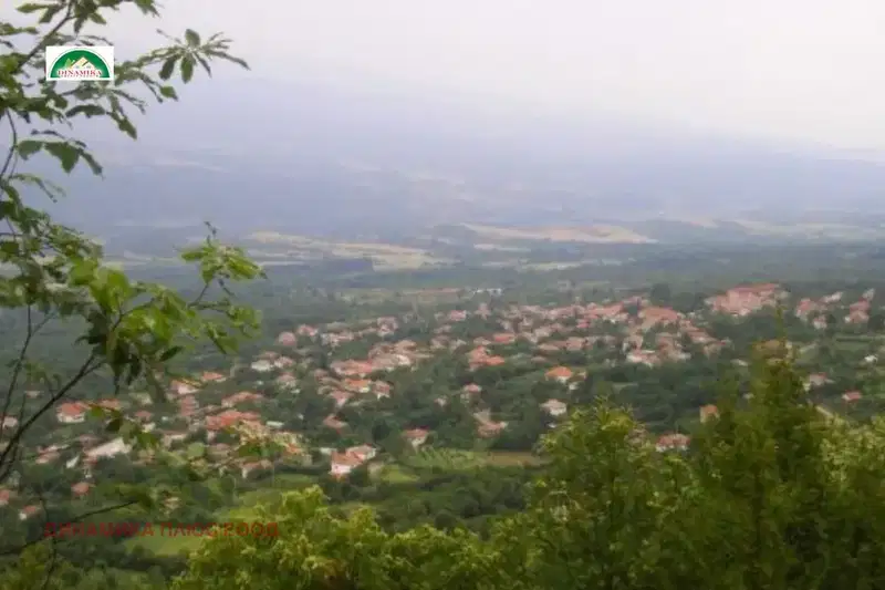 Plot in Oblast Blagoevgrad, с. Скрът