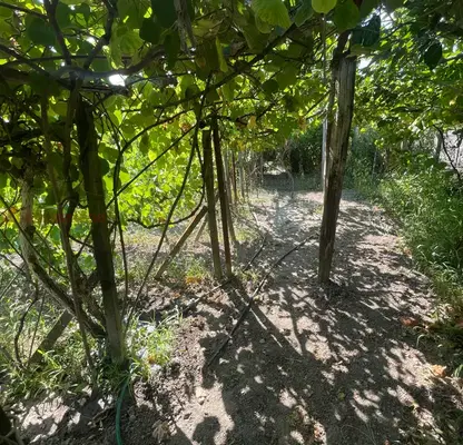 Photo 2 — Plot in Oblast Blagoevgrad, Strumyani