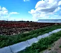 Снимка 5 — Парцел в Бургас, Ахелой