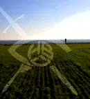 Парцел в Бургас, Ахелой