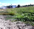 Снимка 2 — Парцел в Бургас, Ахелой